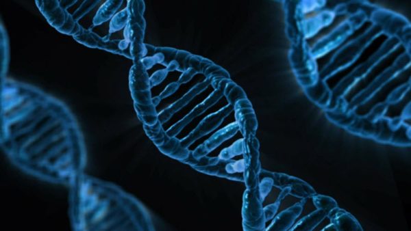 DNA Generational Mental Illness