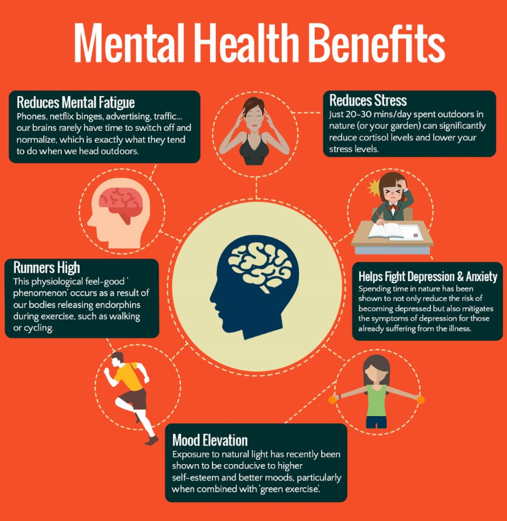 facts-about-how-does-physical-activity-affect-mental-health-revealed